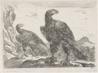 Kaksi kotkaa, joiden pää on oikealla Eagles (sarjan nimi) tekijältä Stefano della Bella