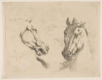 Kaksi hevospäätä, n. 1649. tekijältä Stefano della Bella