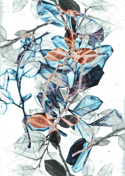 Freyr X, 2018 (digitaalinen) tekijältä Stephen Dow