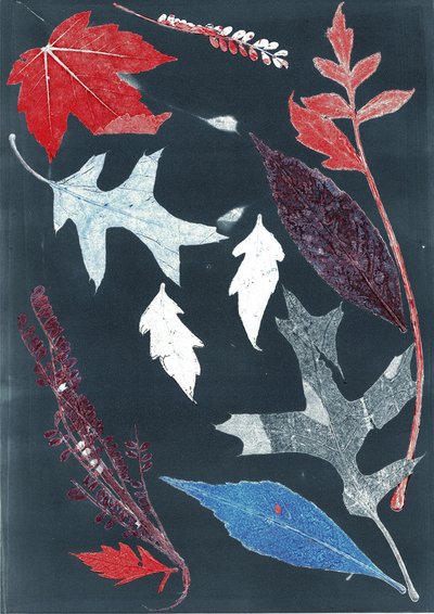 Jol X, 2017 (monoprintti paperille) tekijältä Stephen Dow