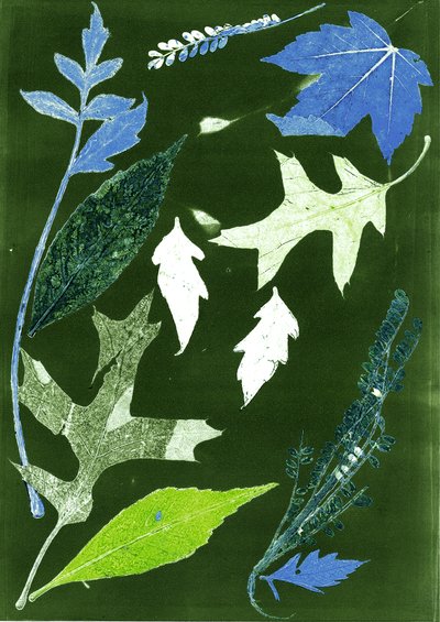 Jol X vihreä, 2017 (digitaalinen) tekijältä Stephen Dow