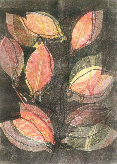 Midnight Garden V, 2015 (monoprintti paperille) tekijältä Stephen Dow