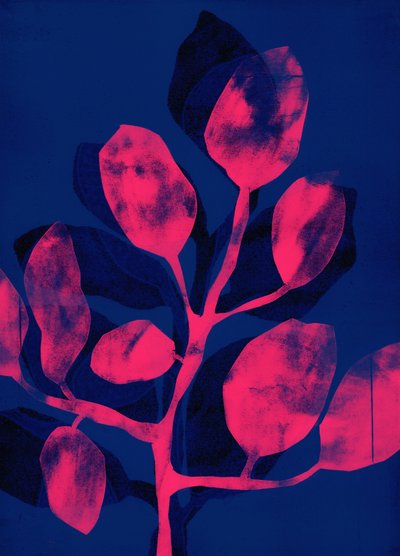Kesäpuutarha III vaaleanpunainen, 2018 (digitaalinen) tekijältä Stephen Dow