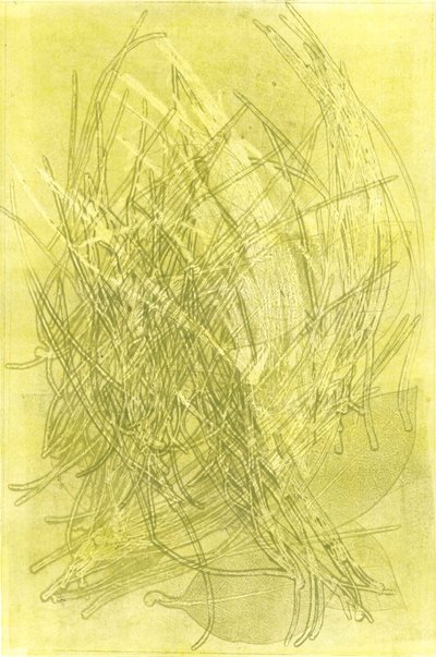 Kesäpuutarha V, 2015 (monoprintti paperille) tekijältä Stephen Dow