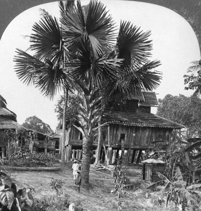 Paaluille rakennettu kotitalo, Bhamo, Burma, 1908 tekijältä Stereo Travel Co