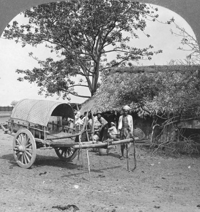 Bambusta ja lehdistä rakennettu kylätalo, Burma, 1908. tekijältä Stereo Travel Co