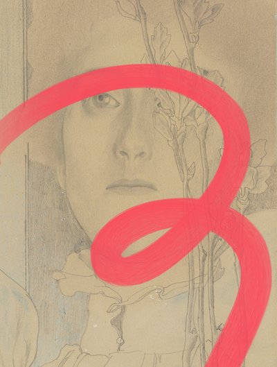 Red Line -kukkaportretti tekijältä Studio Palette