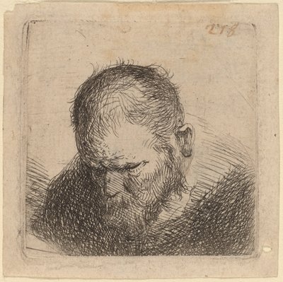 Parrakas mies katselee alas tekijältä Studio of Rembrandt van Rijn