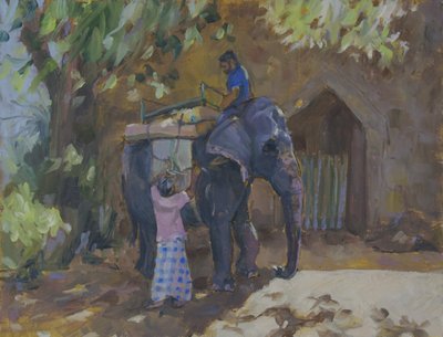 Elephant, Sri Lanka, 2015, tekijältä Sue Wales