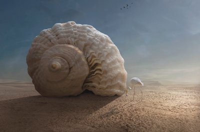  tekijältä Sulaiman Almawash
