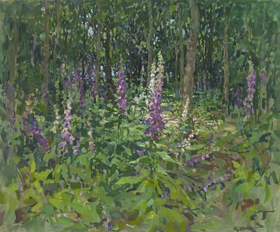 Foxgloves tekijältä Susan Ryder