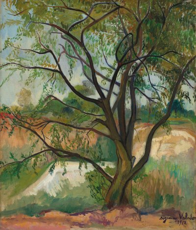 Puu, 1912. tekijältä Suzanne Valadon