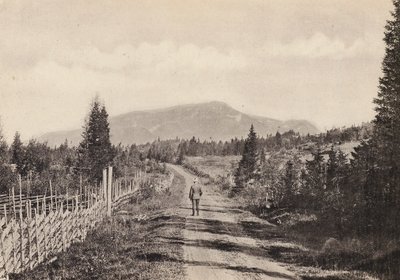Ruotsi / Ruotsi: Jamtland, Areskutan Fran Undersaker (m/v kuva) tekijältä Swedish Photographer