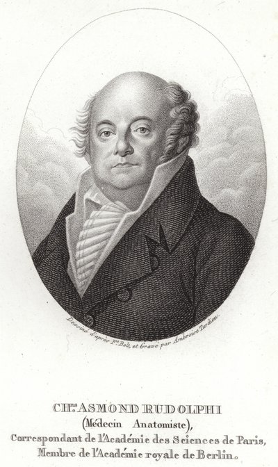 Karl Asmund Rudolphi tekijältä Swedish School