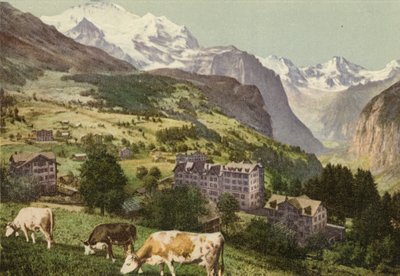 Berner Oberland: Wengen (värillinen kuva) tekijältä Swiss Photographer