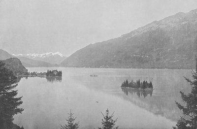 Iseltwald, Lac de Brienz (m/w kuva) tekijältä Swiss Photographer