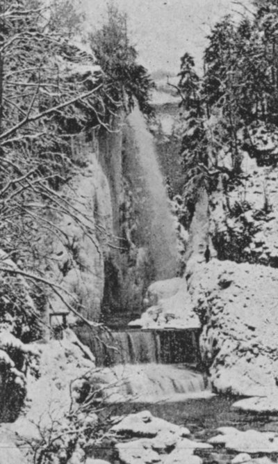 Taubenloch Gorges, lähellä Bieliä talvella (m/w kuva) tekijältä Swiss Photographer