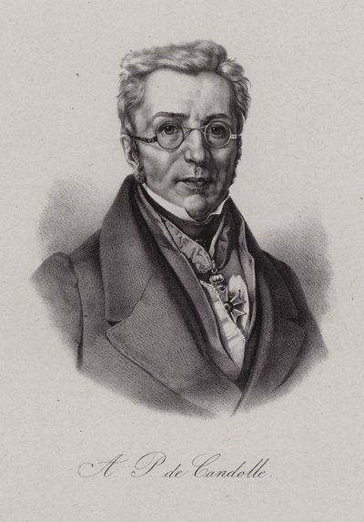 Augustin Pyramus de Candolle, sveitsiläinen kasvitieteilijä (kaiverrus) tekijältä Swiss School