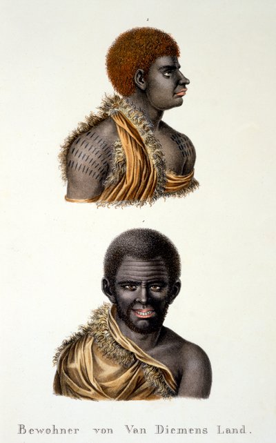 Van Diemenin maan alkuasukkaat, esim. Tasmania, kirjasta Ethnological Study of Various Racial Types from Various Continents, kirjoittanut C.I. Brodtmann, 1824 tekijältä Swiss School