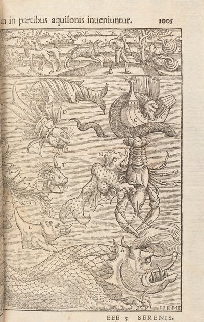 Sivu 1005, Cosmographiae Universalis, Sebastian Muenster, Basel, 1572 tekijältä Swiss School