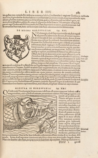 Sivu 983, Cosmographiae Universalis, Sebastian Muenster, Basel, 1572 tekijältä Swiss School