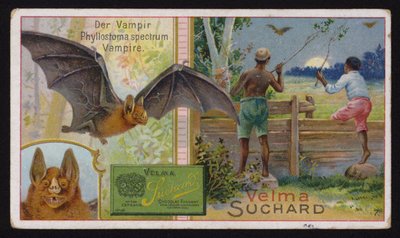 Vampyyrilepakko (chromolitho) tekijältä Swiss School