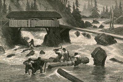 Puukellukkeet tekijältä Swiss School