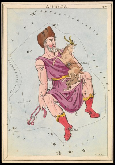 Auriga, n.1825 (kortti, paperi, kudos ) tekijältä Sydney Hall