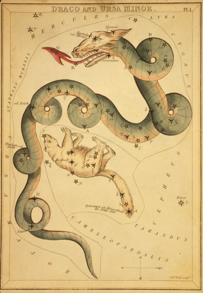 Draco ja Ursa Minor, kuvitus "Uranian peilistä" tekijältä Sydney Hall