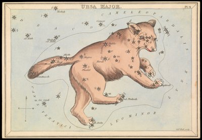 Ursa Major, n.1825 (kortti, paperi, kudos). tekijältä Sydney Hall