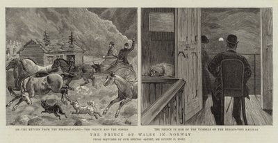 Walesin prinssi Norjassa tekijältä Sydney Prior Hall