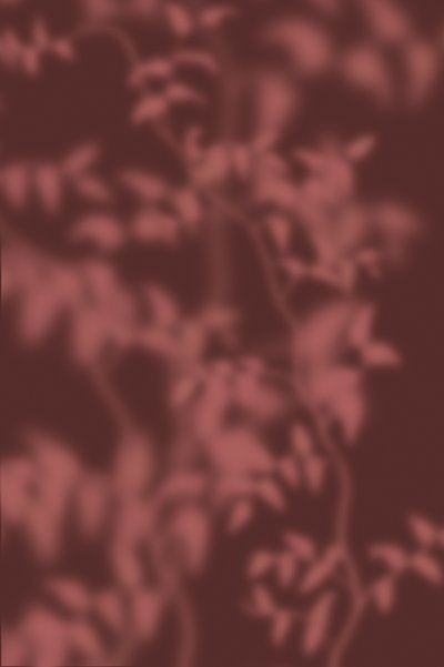  tekijältä THE MIUUS STUDIO