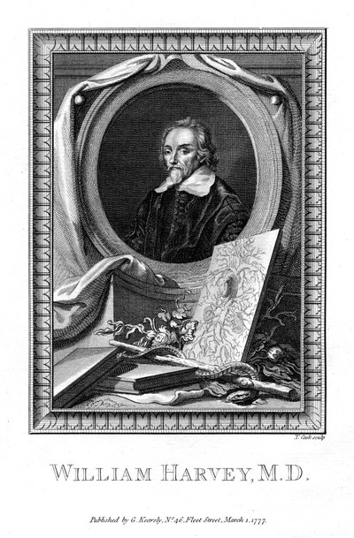 William Harvey, lääkäri, 1777. tekijältä T. Cook