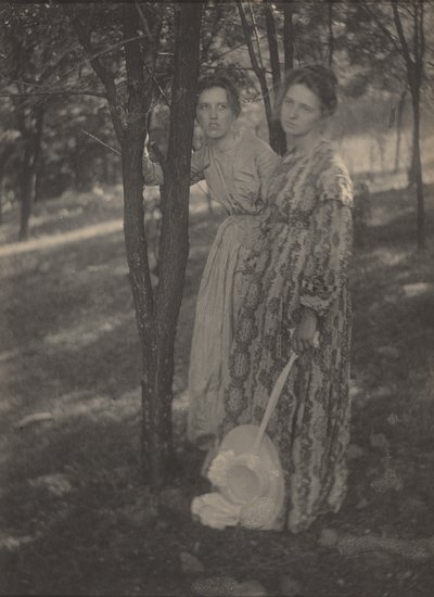 In the Woods,c. 1899 (kuva) tekijältä T. M. Edmiston