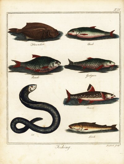 Kalastus: kampela, turppu, särki, särki, nieri, ankerias, hirsi. 1792 (kaiverrus) tekijältä T. Prattent