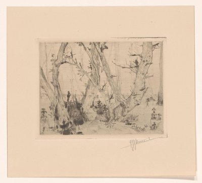 metsänäkymä tekijältä T. Sterrenburg (signed by artist)