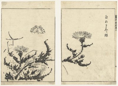 di s te ls en v in r gahon shinkoku makiage tekijältä Tachibana Morikuni (attributed to)