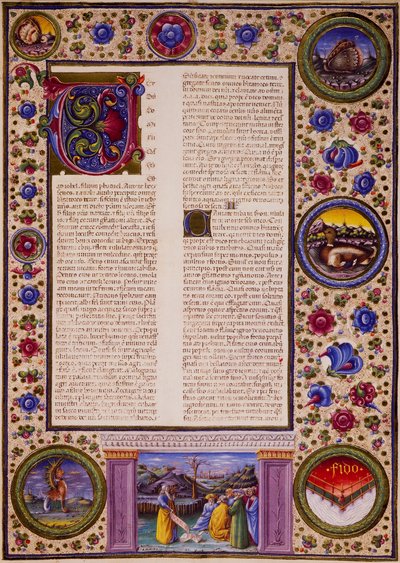 Incipit del Llibre de Joel, del volum II de la Bíblia de Borso d