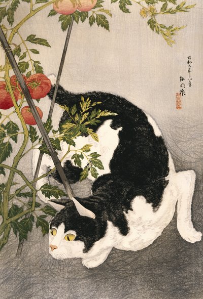 Kissa vaeltelee tomaattikasvin ympärillä, 1931 (puupainatus) tekijältä Takahashi Hiroaki