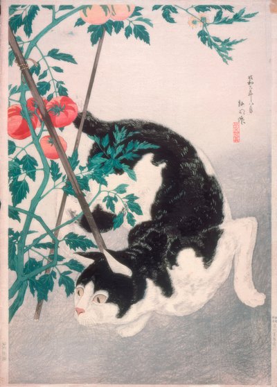 Kissa tomaattikasvin kanssa tekijältä Takahashi Hiroaki