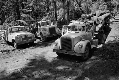 Puunkorjuuautoja Oregonissa korjattavassa metsässä. tekijältä Ted Spiegel