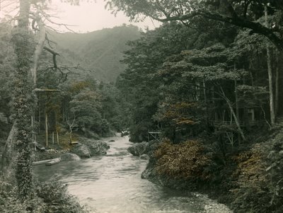 Syksyinen metsä Yamanakan alueella, noin 1900-1915 (valokuva). tekijältä Teijiro Takagi