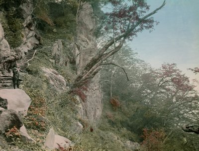 tiellä Kegonin vesiputouksille Nikkoon, noin 1900-1915 (valokuva). tekijältä Teijiro Takagi