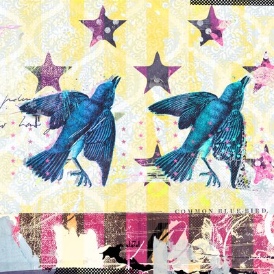 Birds in Serie, 2015 (kollaasi kankaalle) tekijältä Teis Albers