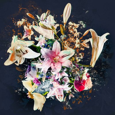 Bouquet VIII, 2018 (sekoitettu media kankaalle) tekijältä Teis Albers