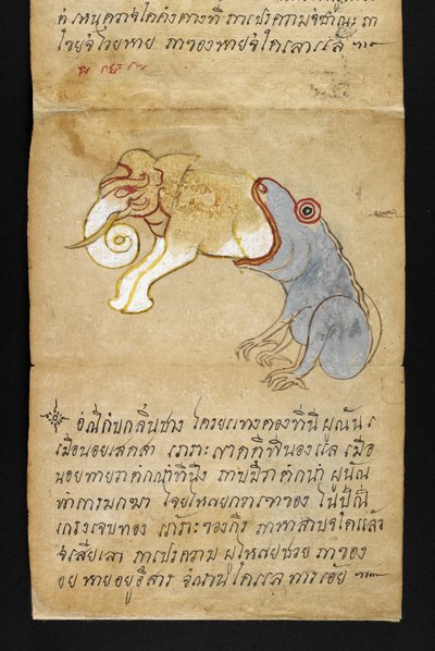 Tai. 16482, f.12 Sammakko syö elefanttia, 
