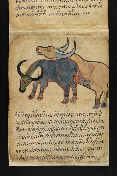 Tai. 16482, f.15 "Satra"  Ennakoinnista ja neuvoista onnelliseen ja terveelliseen elämään (paperin taittokirja) tekijältä Thai School