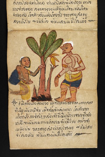 Tai. 16482, f.21 "Satra"  Ennakoinnista ja neuvoista onnelliseen ja terveelliseen elämään (taittokirja) tekijältä Thai School