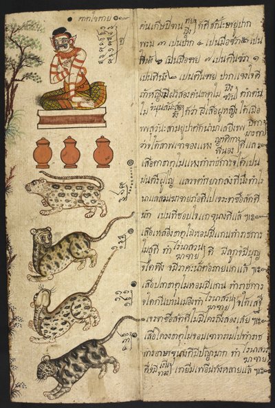Tai 4830 
