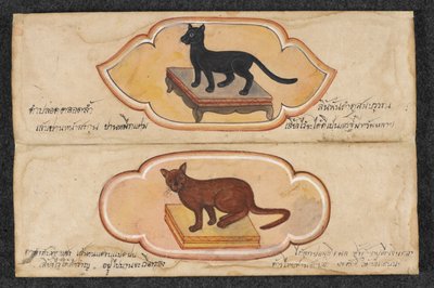 Siamikissat, Fol. 1: kaksi onnekasta kissaa tukemaan liiketoimintaa ja varallisuuden kertymistä, Or. 16797, f.1 (pergamentti) tekijältä Thai School